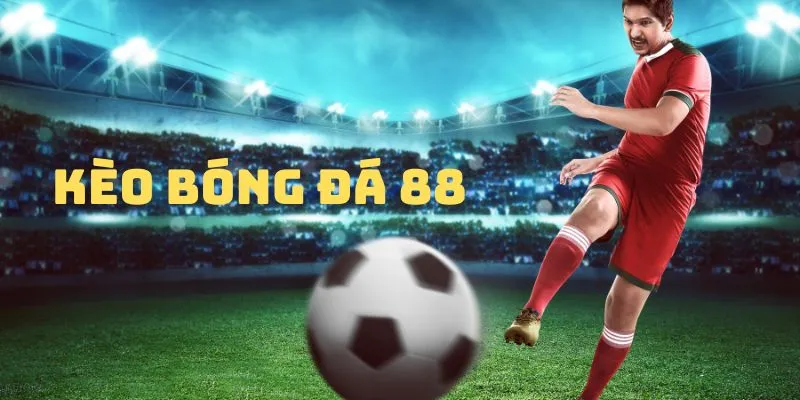 Bóng 88 - Khám Phá Thế Giới Cá Cược Thể Thao Đỉnh Cao
